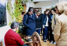 Mercados itinerantes de produtos locais e artesanato vão percorrer o Ribatejo Interior