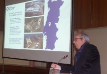 Sinergias do Eco Parque do Relvão na Escola Superior de Gestão de Tomar