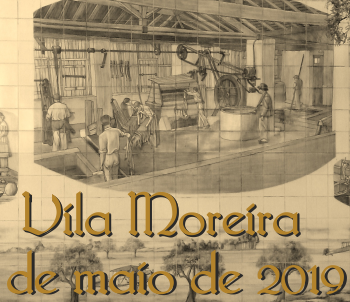 56480318_1441183619371000_1146949481430777856_n