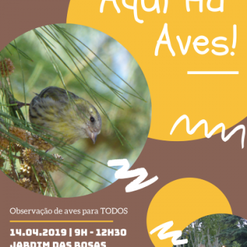 Aqui Há Aves! Abr2019