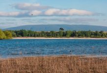 TORRES NOVAS | Aprovada candidatura para Rota do Almonda