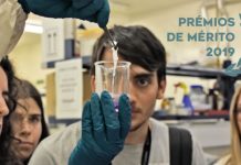 Município de Sardoal atribui Prémios de Mérito