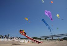 Abrantes assinala Dia Mundial da Criança com atividades à beira do Tejo