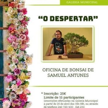 Cartaz3_OficinaBonsai