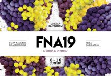 Primeiro-Ministro considera Agricultura um sector essencial para o desenvolvimento do país