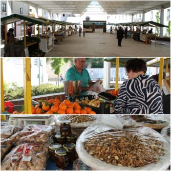 Feira Produtos Terra TNV