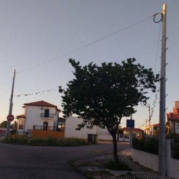 IMG_20190514_200426496