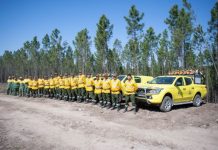 CIM do Médio Tejo vai contar com Máquinas e Veículos Pesados para a Defesa da Floresta