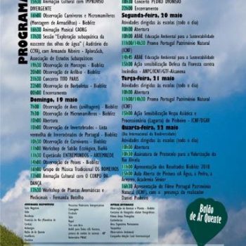 cartaz observacarso 2019 VF