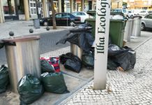 ENTRONCAMENTO | Ilha ecológica sem capacidade para receber lixo do novo espaço de restauração no Mercado Municipal