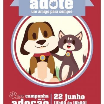 campanha adoção_A3