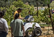 FNA 19 debate o sector através de Conversas de Agricultura