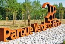 Ciência Viva no verão | À descoberta das aves no Bonito este domingo