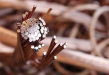 Tomar | Três homens em prisão preventiva por furto de cobre