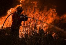 CIM do Médio Tejo toma posição e manifesta a sua solidariedade pelos Municípios de Mação, Sertã e Vila de Rei