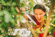 Festival Materiais Diversos apresenta quatro espectáculos para os mais novos