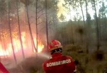 ENTRONCAMENTO | Incêndio nos Foros da Lameira consome mato e restolho