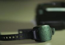 Almeirim |Pulseira eletrónica por violência doméstica