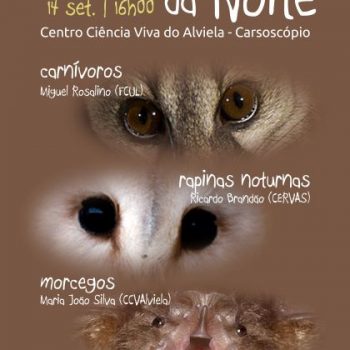 2019_09_14_turno_noite