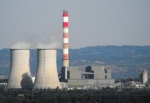 CIM do Médio Tejo apoia conversão da Central do Pego para resíduos florestais