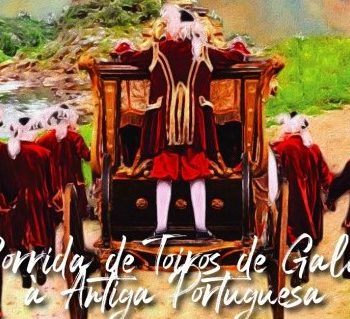 Corrida toiros barquinhaCorte