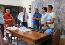 ENTRONCAMENTO | Município adquire Kit de eliminação de ninhos de Vespa Velutina