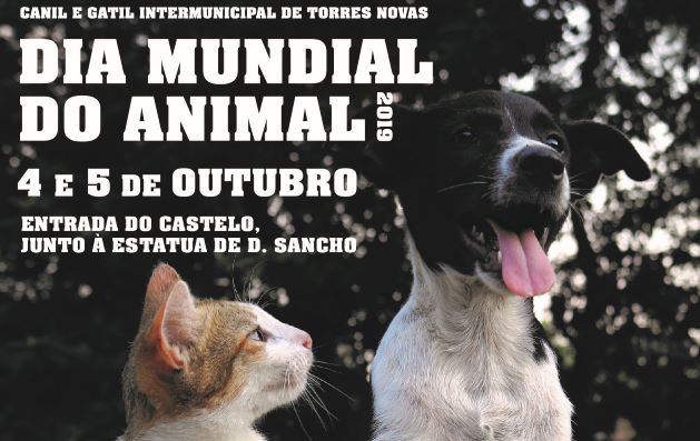 RT1198_ctz_DiaAnimal2019_final-01Corte