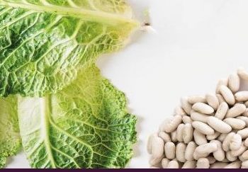 Cartaz couves net_InPixio