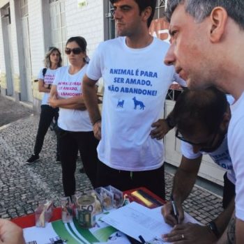 DED0DEB8-D487-4E11-A33F-04E978FF34B5