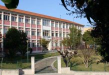 Torres Novas | Aprovado protocolo do projeto “saber andar (melhor) de bicicleta no 1.º Ciclo do Ensino Básico”