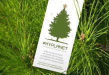 Navigator doa 700 pinheiros à Autarquia de Abrantes para celebração do Natal