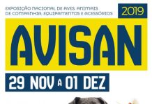 Exposições de Répteis e Animais Exóticos na Avisan 2019