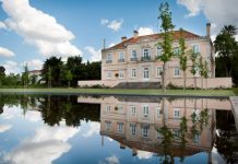 Quinta da Alorna com colheita de excelência destaca qualidade dos vinhos tintos