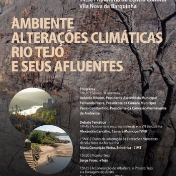 cartaz ambiente ass_final