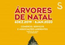 Árvores de Natal no Comércio, Serviços e Associações do Concelho de Sardoal