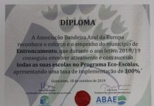 Entroncamento com dez estabelecimentos de ensino no Galardão Eco-Escolas 2019