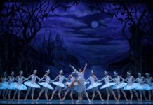 Lago dos Cisnes com casa cheia no Teatro Virgínia