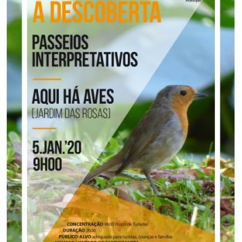 RT1212_Passeios_DescobertaNatureza_5JAN_cartaz