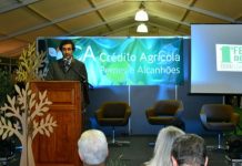 Secretário de Estado da Agricultura | “O azeite é um dos produtos que leva o nome do nosso país além-fronteiras”