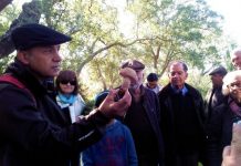 Bairro ConVida | Oficina de produção de cogumelos, no Mercado de Inverno, em Abrantes