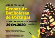 Ação de Formação em Constância | Censos de Borboletas de Portugal