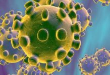 Doente natural de Torres Novas não tem coronavírus