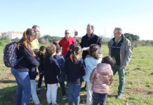 Entroncamento | Alunos das Escolas plantam 1500 árvores no âmbito do Movimento Terra de Esperança