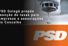 PSD Golegã propõe isenção de taxas para empresas e associações
