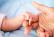 Maternidade regressa à Unidade Hospitalar de Abrantes