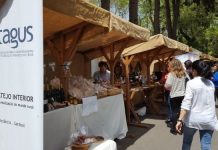 TAGUS abre candidaturas para apoiar cadeias curtas e prolonga prazo para pequenos investimentos na agricultura