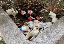 São precisos caixotes de lixo mas também algum civismo