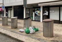 Vidrão precisa de ser despejado “senão pomos no chão”