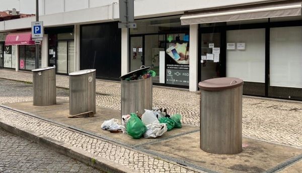 WhatsApp Image 2020-04-14 at 18.56.05