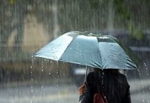 Entroncamento | Não existem novos casos de infeção com o Covid-19